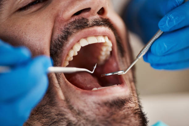 Best Emergency Cosmetic Dentistry (e.g., broken veneers) in Dorr, MI