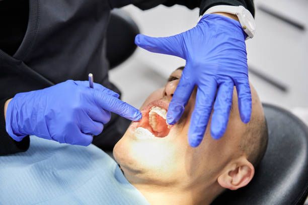 Best Emergency Denture Repair in Dorr, MI